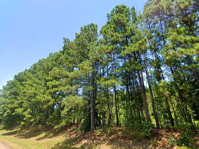 Land for sale in Avinger, Texas