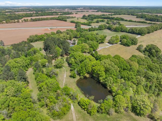 Land for sale in Leighton, Alabama