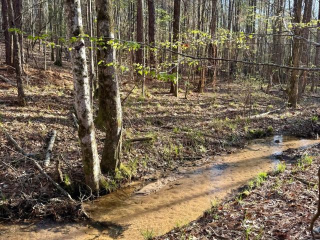 Land for sale in Choctaw, Mississippi