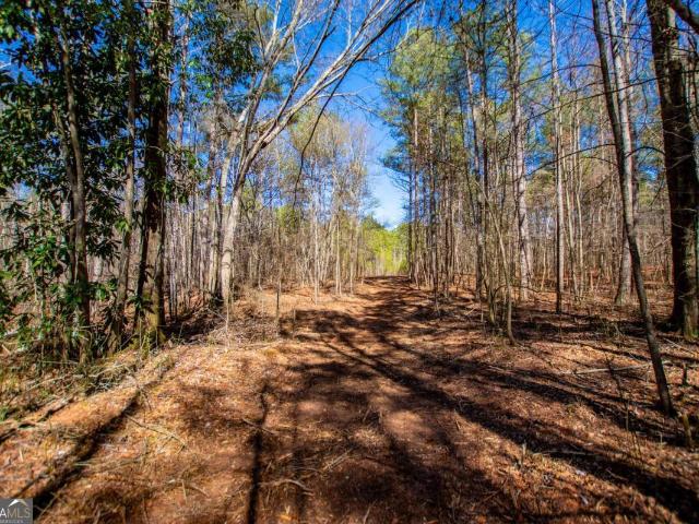 Land for sale in Bowdon, Georgia
