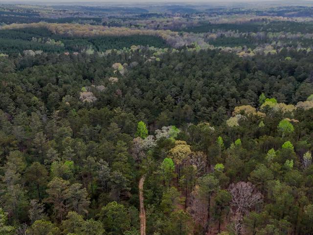 Land for sale in Carrollton, Georgia
