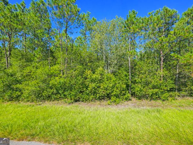 Land for sale in Nashville, Georgia