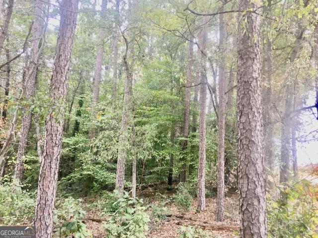 Land for sale in Toccoa, Georgia