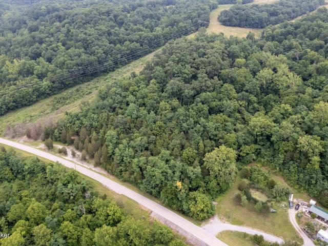 Land for sale in Ghent, Kentucky