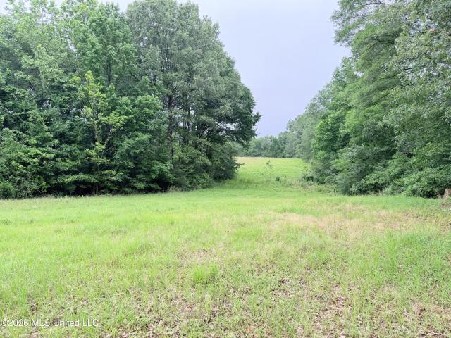 Land for sale in Utica, Mississippi