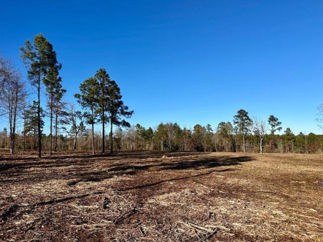 Land for sale in Many