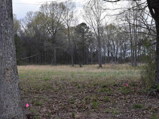 Land for sale in Tennessee