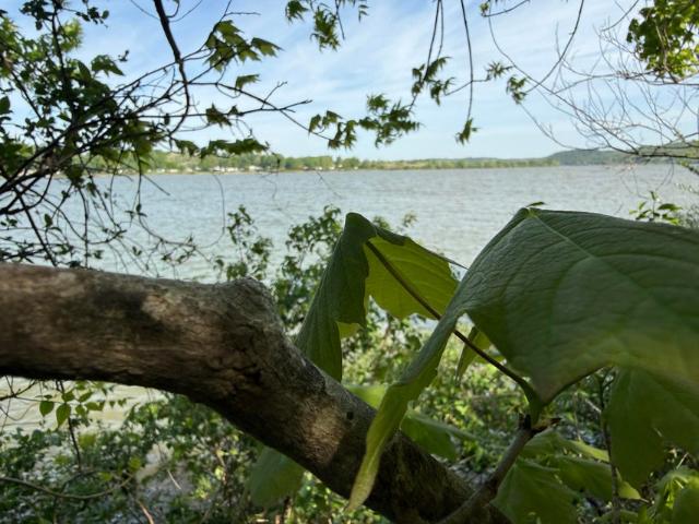 Land for sale in Warsaw, Kentucky