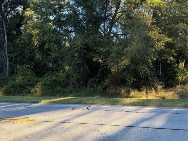 Land for sale in Swainsboro, Emanuel County