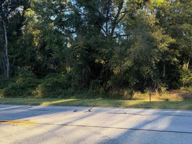 Land for sale in Swainsboro, Emanuel County