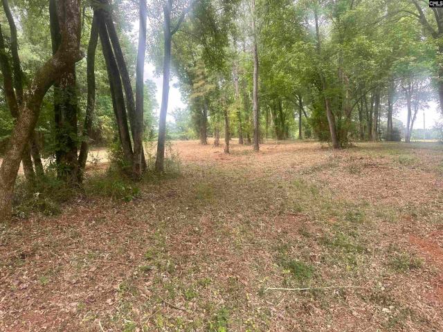 Land for sale in Little Mountain, South Carolina