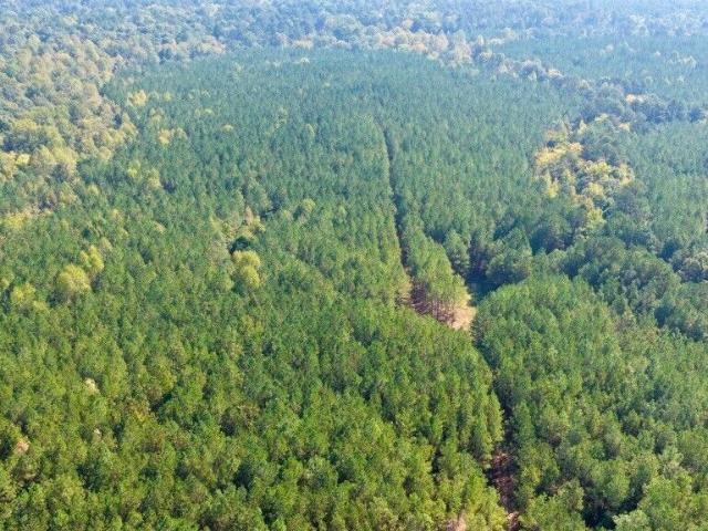 Land for sale in Woodlawn, Lincolnton