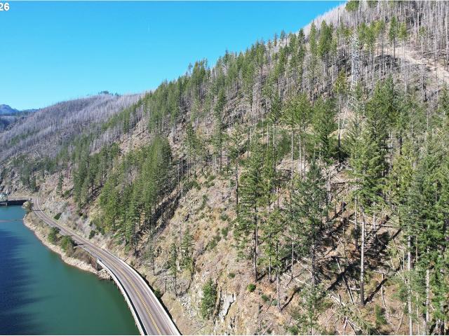 Land for sale in Oregonia