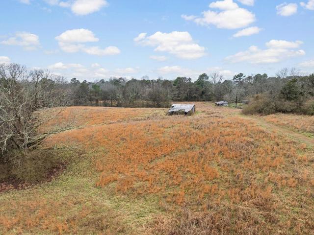 Land for sale in Spruce Pine, Alabama