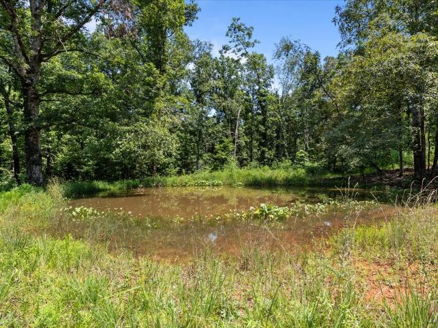 Land for sale in Tennessee
