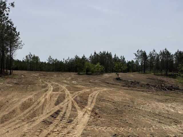 Land for sale in Tennessee