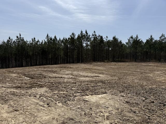Land for sale in Tennessee