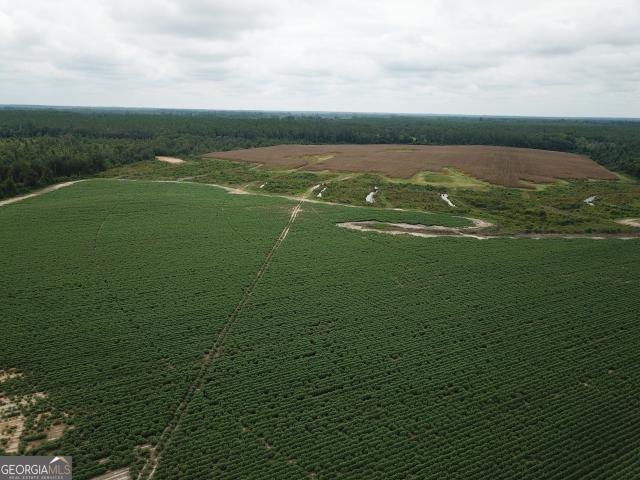 Land for sale in Dodge, Georgia