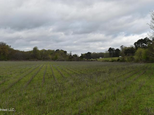 Land for sale in Batesville, Mississippi