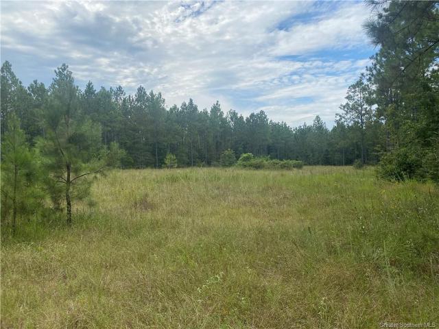 Land for sale in Dequincy, Louisiana