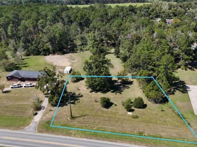 Land for sale in Reidsville, Tattnall County