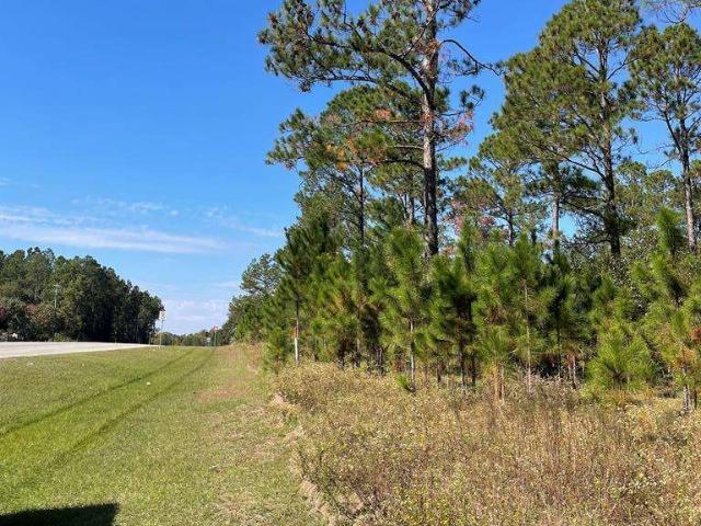 Land for sale in Vidalia, Georgia