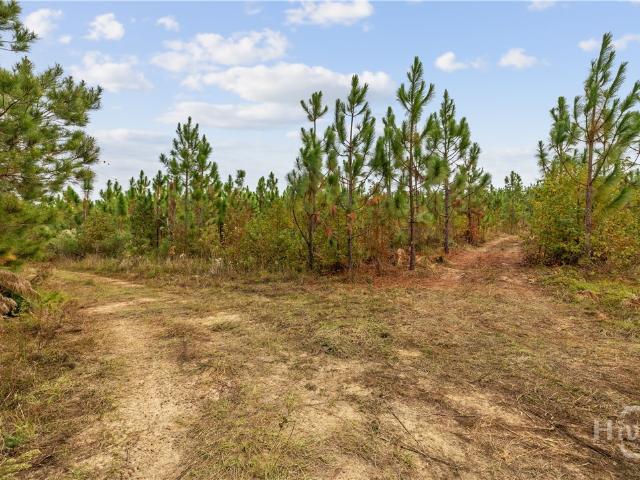 Land for sale in Soperton, Georgia