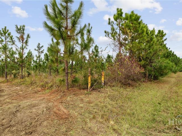 Land for sale in Soperton, Georgia