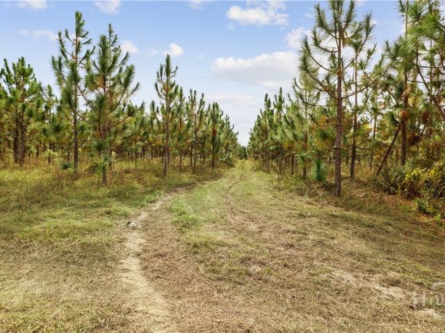 Land for sale in Soperton, Georgia