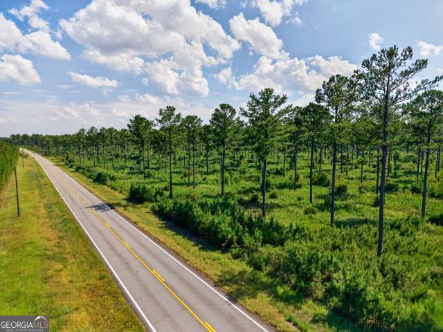 Land for sale in Buena Vista, Georgia