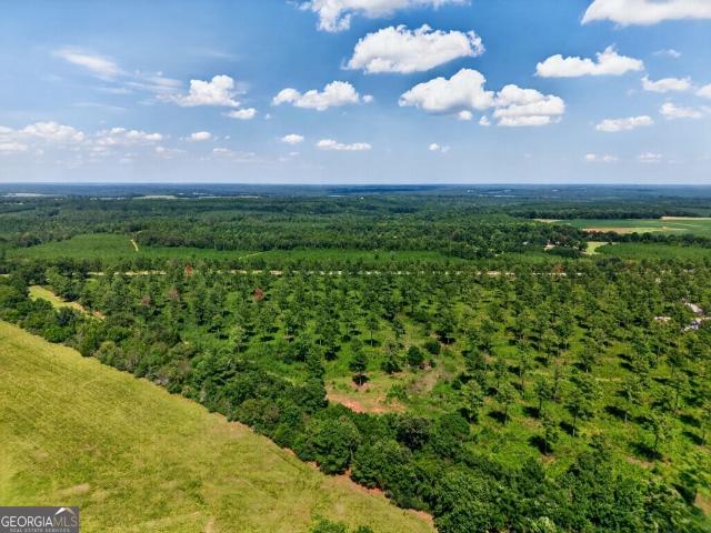 Land for sale in Buena Vista, Georgia