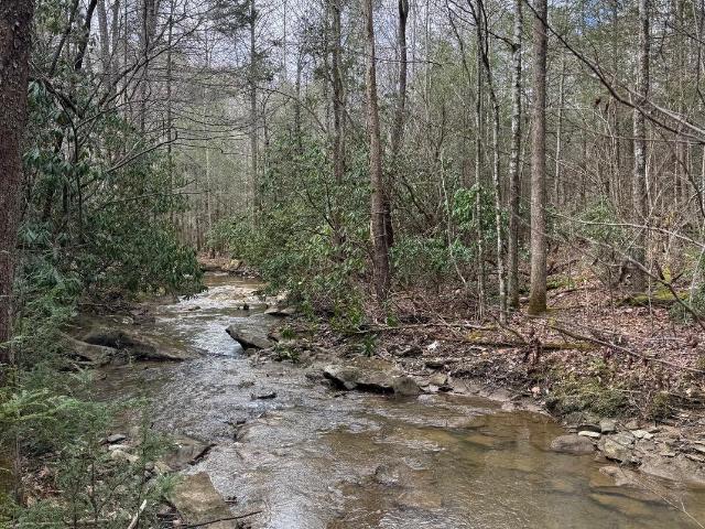 Land for sale in Pineville, Kentucky