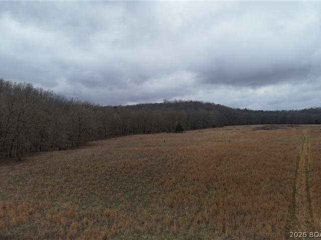 Land for sale in Piedmont, Missouri
