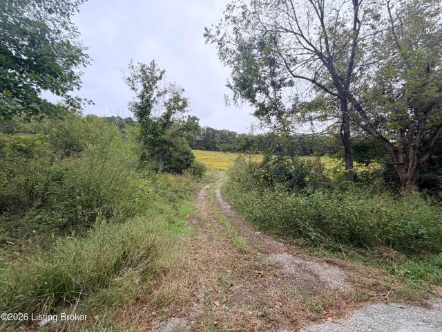 Land for sale in Worthville, Owen County