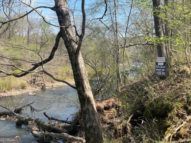Land for sale in Talbot, Georgia