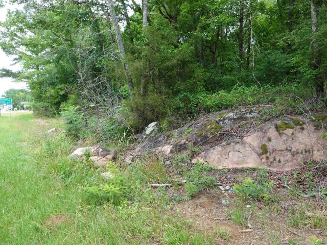 Land for sale in Edgefield, South Carolina