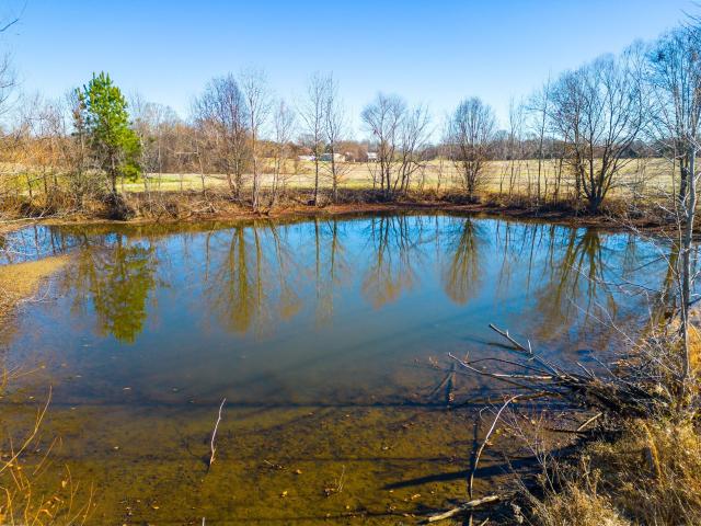 Farm for sale in Tennessee