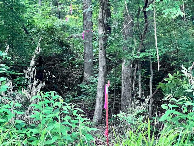 Land for sale in Tennessee