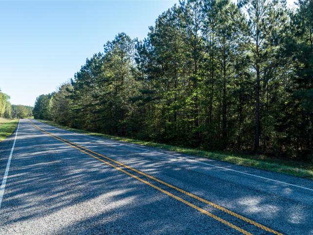 Land for sale in Marion, Texas