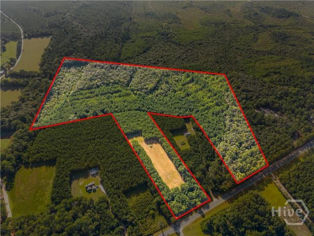 Land for sale in Pembroke, Georgia