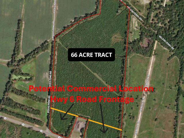 Land for sale in Eutawville, South Carolina