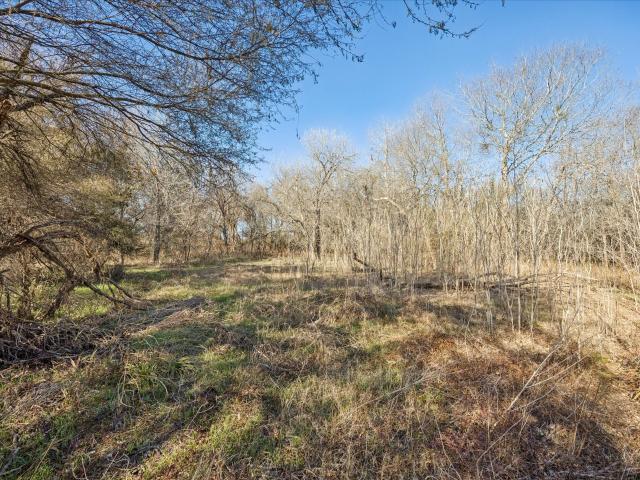 Land for sale in La Grange, Texas