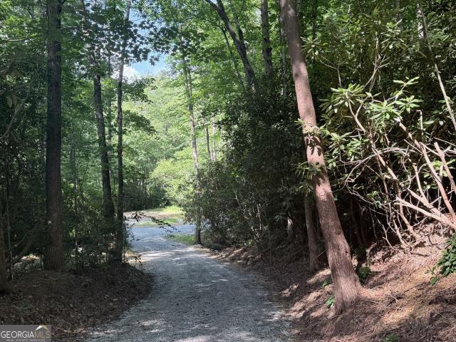 Land for sale in Clayton, Georgia