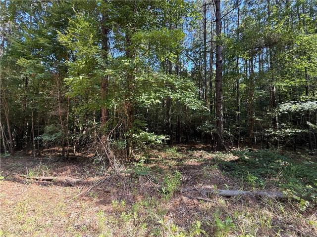 Land for sale in Olla, Louisiana