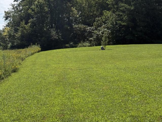 Land for sale in Tennessee