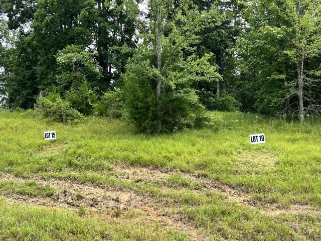Land for sale in Tennessee
