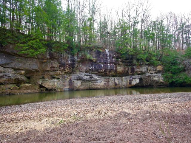 Land for sale in Phil Campbell, Alabama