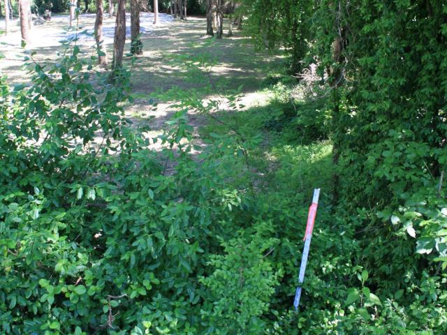 Land for sale in Tennessee
