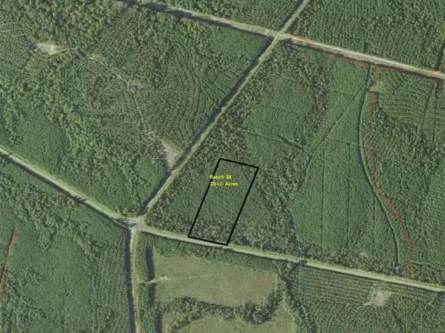 House for sale in Pineland