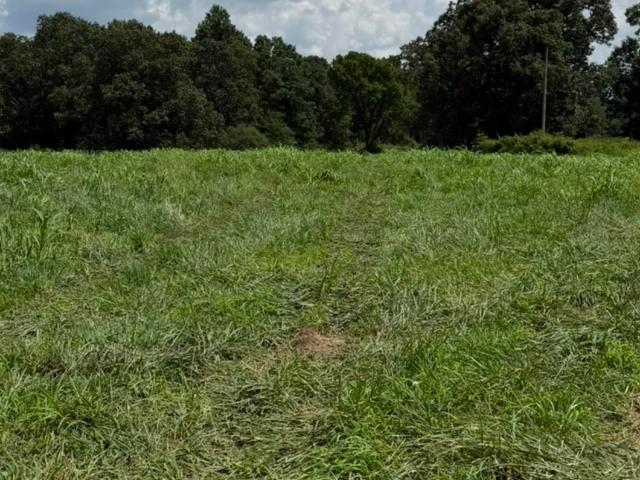 Land for sale in Phil Campbell, Alabama